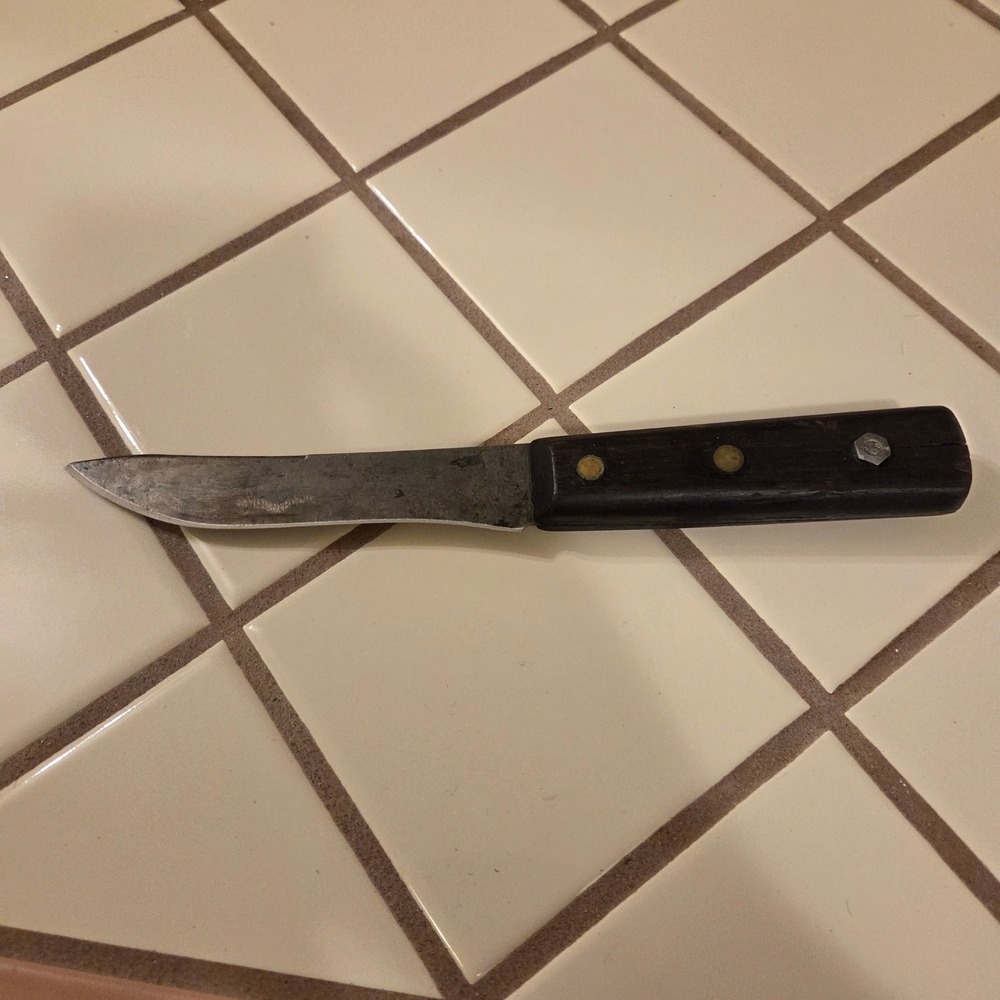 Vintage Carbon Steel Paring Knife Wood Handle Rustic Patina 9.25 Inch Utility